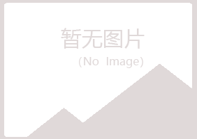 兴平晓夏水泥有限公司